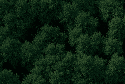 Tend the Grove: Introducing Staking and Governance